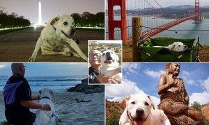 Fil-Am DJ et la grande aventure américaine de son chien mourant